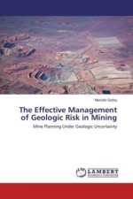 The Effective Management of Geologic Risk in Mining