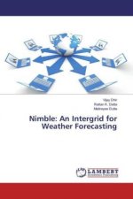 Nimble: An Intergrid for Weather Forecasting