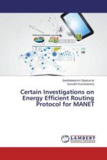 Certain Investigations on Energy Efficient Routing Protocol for MANET