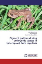 Pigment pattern during embryonic stages in heteroploid Bufo regularis