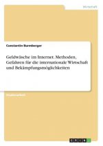 Geldwasche im Internet. Methoden, Gefahren fur die internationale Wirtschaft und Bekampfungsmoeglichkeiten