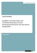 Konflikte zwischen Islam und UN-Menschenrechten. Ist die Menschenrechtecharta mit dem Koran kompatibel?
