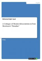 Critique of Monist Afrocentrism in Toni Morrison's 