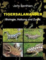 Tigersalamander