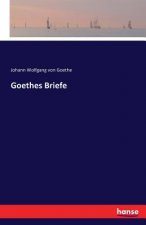 Goethes Briefe