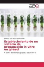 Establecimiento de un sistema de propagación in vitro en girasol