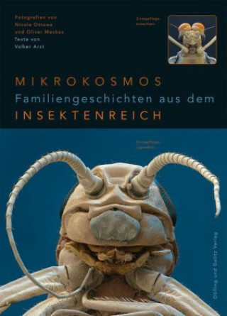 Wandlungskünstler. Die geheime Erfolgsgeschichte der Insekten