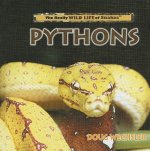 Pythons