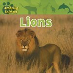 Lions