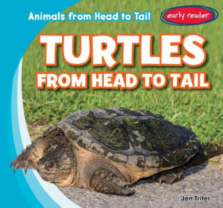 Turtles from Head to Tail