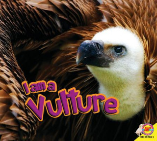 Vulture