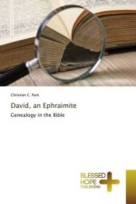 David, an Ephraimite