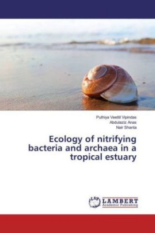 Ecology of nitrifying bacteria and archaea in a tropical estuary