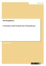 Ursachen und Verlauf der Finanzkrise