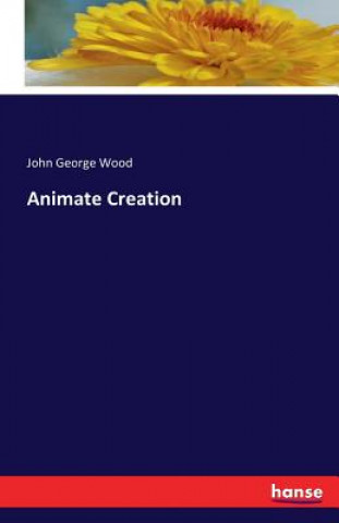Animate Creation