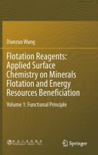 Flotation Reagents: Applied Surface Chemistry on Minerals Flotation and Energy Resources Beneficiation