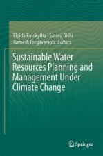 Sustainable Water Resources Planning and Management Under Climate Change