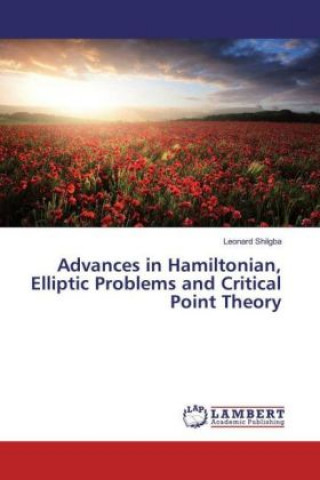 Advances in Hamiltonian, Elliptic Problems and Critical Point Theory