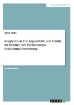 Kooperation von Jugendhilfe und Schule im Rahmen des Fachkonzepts Sozialraumorientierung