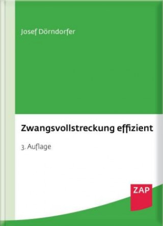 Zwangsvollstreckung effizient