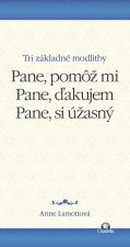 Pane, pomôž mi. Pane, ďakujem. Pane, si úžasný.