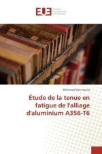 Étude de la tenue en fatigue de l'alliage d'aluminium A356-T6