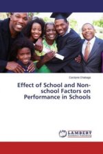Effect of School and Non-school Factors on Performance in Schools