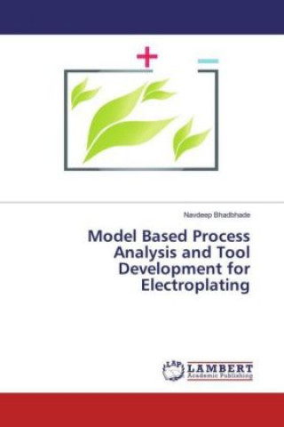 Model Based Process Analysis and Tool Development for Electroplating