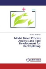 Model Based Process Analysis and Tool Development for Electroplating