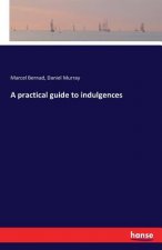 practical guide to indulgences