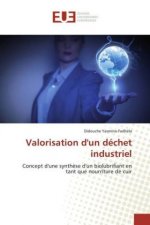 Valorisation d'un déchet industriel