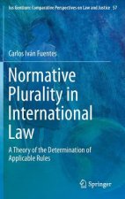Normative Plurality in International Law