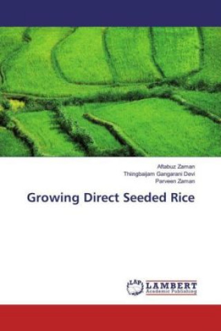 Growing Direct Seeded Rice