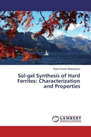 Sol-gel Synthesis of Hard Ferrites: Characterization and Properties