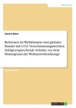 Reformen im Weltklimarat und globaler Handel mit CO2- Verschmutzungsrechten. Erfolgversprechende Schritte vor dem Hintergrund der Weltumweltordnung?