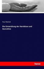 Die Entwicklung der Harnblase und Harnröhre