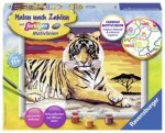 Ravensburger Malen nach Zahlen 28553 - Majestätischer Tiger - Kinder ab 11 Jahren