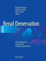 Renal Denervation