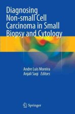 Diagnosing Non-small Cell Carcinoma in Small Biopsy and Cytology