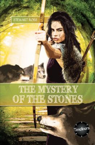 Timeliners: The Mystery of the Stones