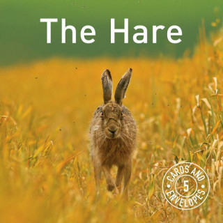 Hare Card Pack