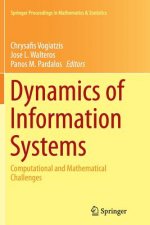 Dynamics of Information Systems