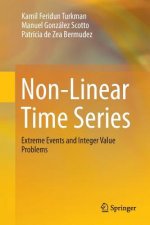 Non-Linear Time Series