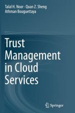 Trust Management in Cloud Services