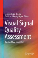 Visual Signal Quality Assessment