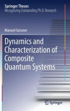Dynamics and Characterization of Composite Quantum Systems