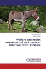 Welfare and health assessment of cart mules at Bahir Dar town, Ethiopia