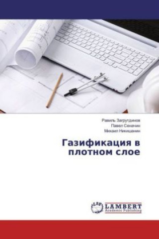 Gazifikaciya v plotnom sloe