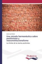 Una mirada hermenéutica sobre positivismo y neoconstitucionalismo