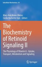 Biochemistry of Retinoid Signaling II